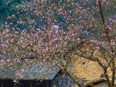 Xanh vì xu thế, xanh vì nhân văn