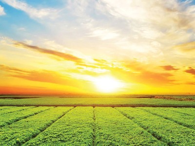 Các kịch bản biến đổi khí hậu sẽ đóng vai trò chính trong chiến lược đầu tư của các nhà đầu tư trên toàn cầu.