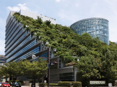 Vườn trên cao xu hướng được ưa chuộng