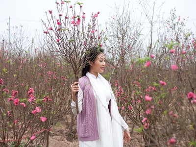 Vị Bắc ở trời Nam