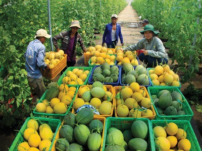 Ngẫm về dĩ vãng và tương lai xa