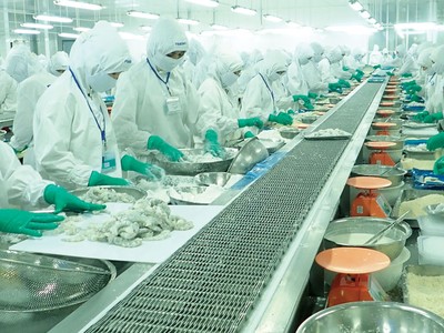 Thực phẩm Sao Ta (FMC): Thành công từ “4 chữ không”