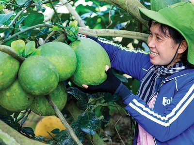 Mọi người dân đều được tiếp cận với dịch vụ tài chính và an sinh xã hội là mục tiêu của tài chính toàn diện