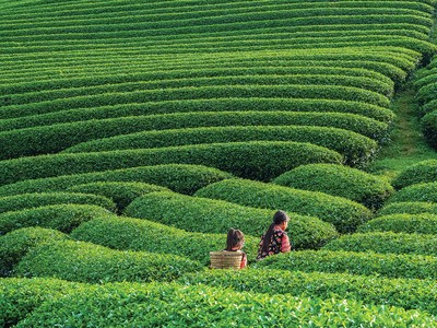 Cho vay vùng sâu, vùng xa: Những câu chuyện từ thực tế