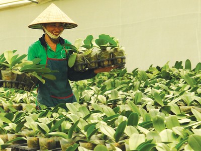 Hướng đồng vốn chính sách đến đúng đối tượng