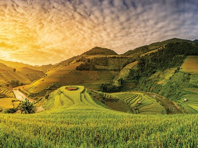 Agribank cần được hỗ trợ để tiếp tục giữ vị trí trụ cột cung cấp tín dụng cho nông nghiệp, nông dân