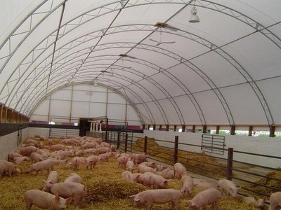 Tiêu thụ lợn thuận lợi, quý I/2016, VLC lãi sau thuế hơn 47 tỷ đồng, tăng 57,6%