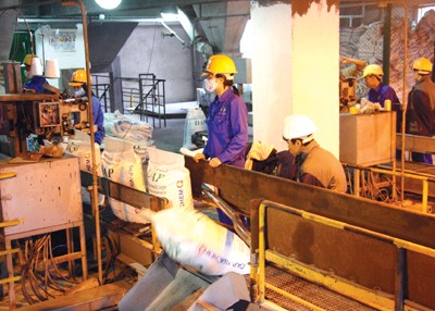 6 tháng, DDV báo lỗ hơn 200 tỷ đồng