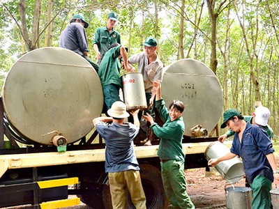 6 tháng, Cao Su Bà Rịa (BRR) lãi ròng gần 30 tỷ đồng, hoàn thành 60% kế hoạch