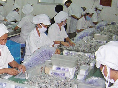 Hai câu hỏi lớn về Dược Cửu Long