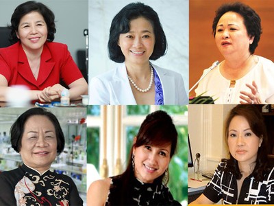 Những bông hồng vàng tỏa sắc