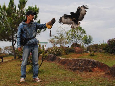 Nguyễn Văn Thái đang biểu diễn với chú chim đại bàng đã qua huấn luyện. Ảnh: Quốc Dũng