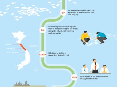 [Infographic] Ba tháng điều tra nguyên nhân cá chết hàng loạt