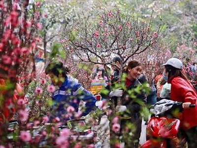 Bộ Nội vụ chọn phương án nghỉ Tết 7 ngày