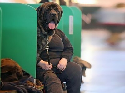 Những bức ảnh ngộ nghĩnh nhờ chụp đúng thời điểm