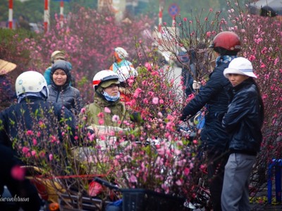 Chợ hoa Quảng Bá vào top điểm đón Tết Nguyên Đán đẹp nhất