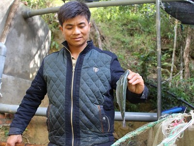 Nhận thấy Mẫu Sơn có điều kiện khí hậu, tự nhiên phù hợp nuôi cá hồi, anh Trình mạnh dạn đầu tư. Ảnh: Hồng Vân