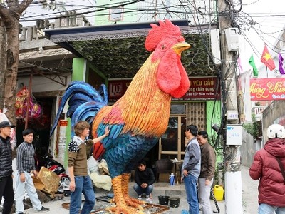 Chiều 21/01 chú gà trống đã được chủ nhân mới là nghệ sĩ Chiến cho dạo phố. Ảnh: Giang Chinh