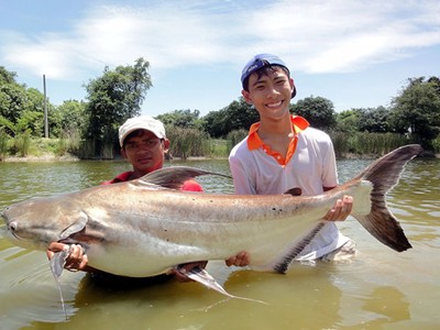  3 loài cá được mệnh danh thủy quái miền Tây