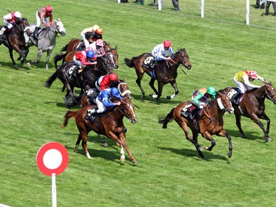 Hướng dẫn kinh doanh đặt cược đua ngựa, đua chó, bóng đá quốc tế