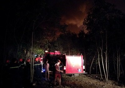 Đường vào rừng tràm. Ảnh:Phước Tuấn.