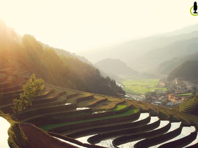 Chiều vàng trên mùa nước đổ Mang Mủ