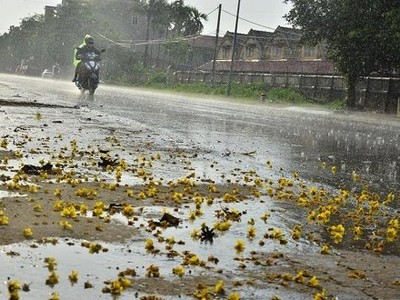Cơn mưa rào kéo dài 20 phút ở Phúc Thọ chiều qua. Ảnh:Đoàn Tuấn.