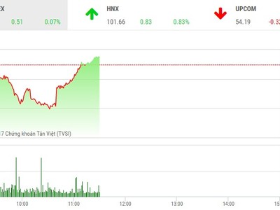 Phiên sáng 21/8: VN-Index được cứu, hấp dẫn cuộc chiến tại HAI