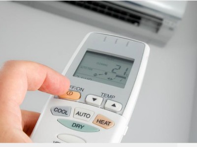 Ảnh minh họa:Pippin Brothers.