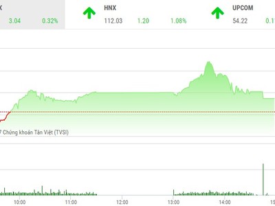 Phiên chiều 27/11: Sắc tím tràn ngập, VN-Index vẫn đuối sức cuối phiên