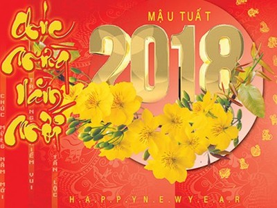Việt Nam vững bước tiến vào năm 2018