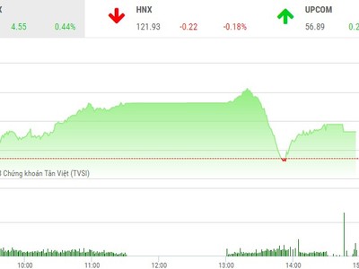 Phiên chiều 10/1: Bất ngờ lao dốc