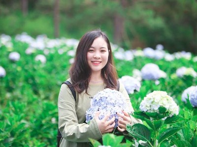 5 vườn hoa cẩm tú cầu 'để dành' cho Tết đi Đà Lạt