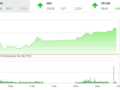 Phiên chiều 4/6: Sắc tím tràn ngập, VN-Index tăng vọt qua 1.010 điểm