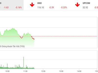 Phiên sáng 13/6: Nhà đầu tư thận trọng, thị trường đảo chiều bất thành