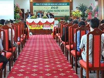 DLG thông qua việc bổ nhiệm 2 thành viên HĐQT người nước ngoài