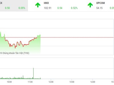 Phiên sáng 30/1: Ảm đạm