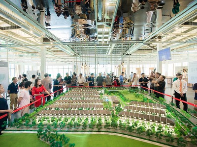 Khách hàng thăm quan nhà mẫu khu biệt thự nhà vườn liền kề The Mansions