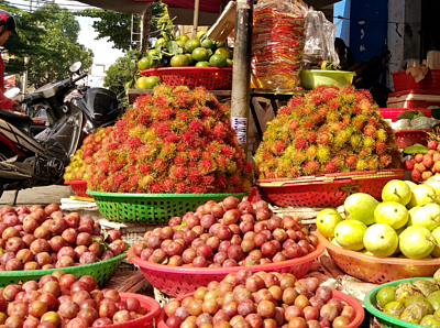 Mận hậu được nhiều khách ưa chuộng. Ảnh:Thi Hà.