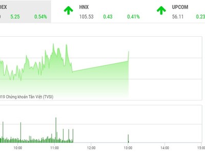 Phiên chiều 10/7: VN-Index giữ vững đà tăng, HNX-Index may mắn thoát hiểm
