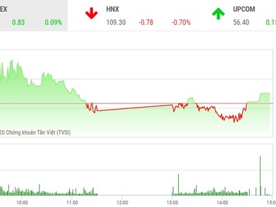 Phiên chiều 19/2: Dòng tiền đầu cơ chảy mạnh, cổ phiếu thị trường bùng nổ