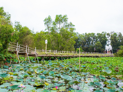 Về miền Tây mùa nước nổi, tiêu dao miền sông nước giữa rừng tràm Trà Sư