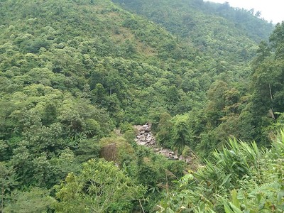 WB ký thỏa thuận trị giá 51,5 triệu USD hỗ trợ giảm lượng khí thải carbon cho Việt Nam