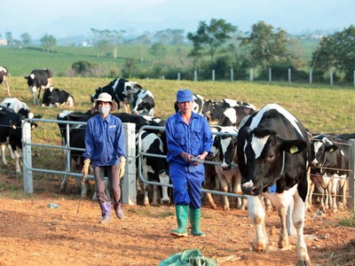 GTNFoods (GTN) bị phạt 70 triệu đồng vì lỗi công bố thông tin