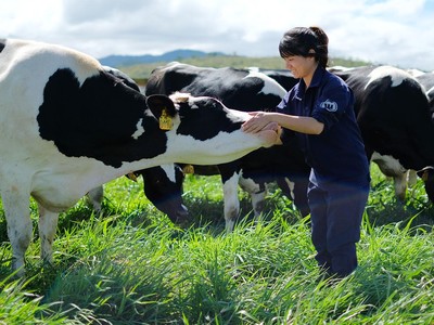 ĐHĐCĐ của Vilico (VLC): Cổ đông tiếp tục chất vấn về việc sáp nhập “mẹ vào con”