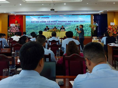 ĐHCĐ Vinafor (VIF): Mảng kinh doanh chính vẫn có lãi nhưng tỷ suất lợi nhuận không bằng Yamaha