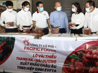 Lô vải thiều Việt Nam đầu tiên xuất khẩu đi châu Âu theo Hiệp định EVFTA