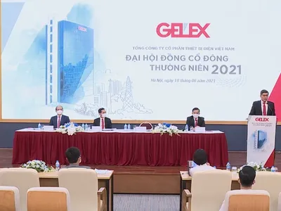 ĐHCĐ 2021 Gelex thông qua mục tiêu 2021 lợi nhuận 1.285 tỷ đồng, trả cổ tức 10%