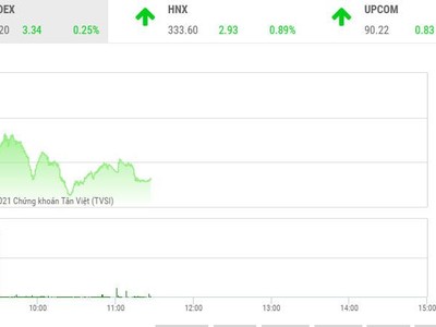 Giao dịch chứng khoán phiên sáng 10/8: Nhóm vận tải biển, dầu khí tăng tốc, VN-Index gặp khó ở vùng cản mạnh