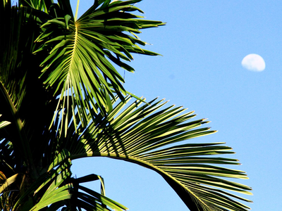 Mùa trăng về đánh thức bao kỷ niệm ngày thơ. Ảnh: Thành Nguyễn.